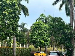 Jalan Greja (D16), Detached #499673911